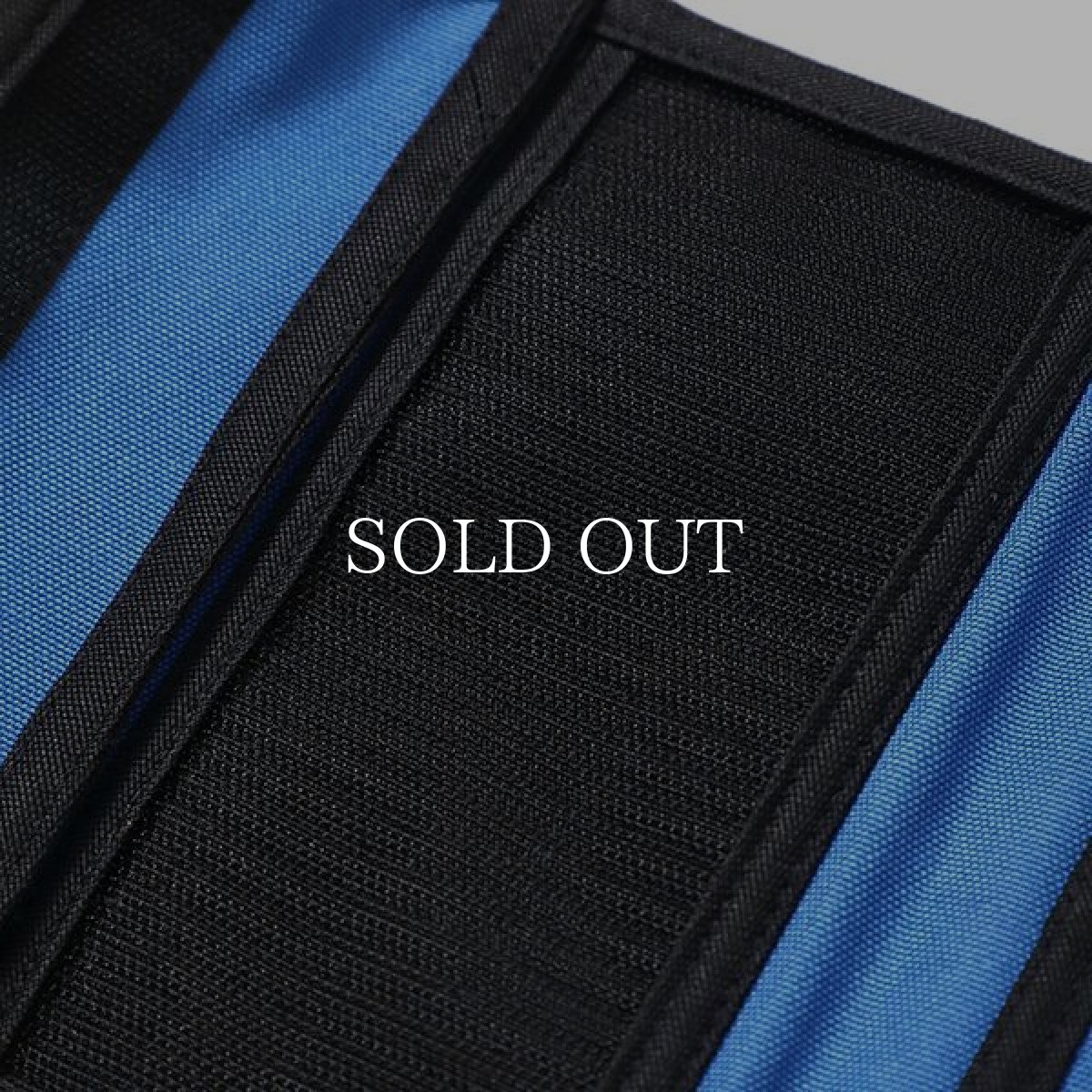 画像8: CHALLENGER  LOGO CASE TYPE II (8)