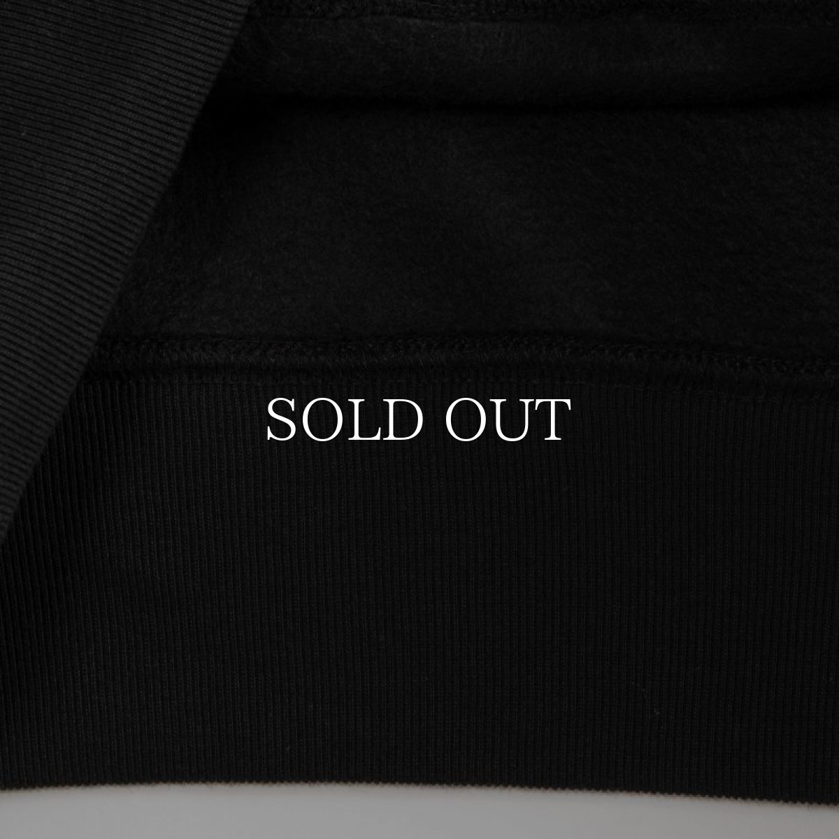 画像8: APPLEBUM  “REBELLIOUS” SWEAT PARKA (8)