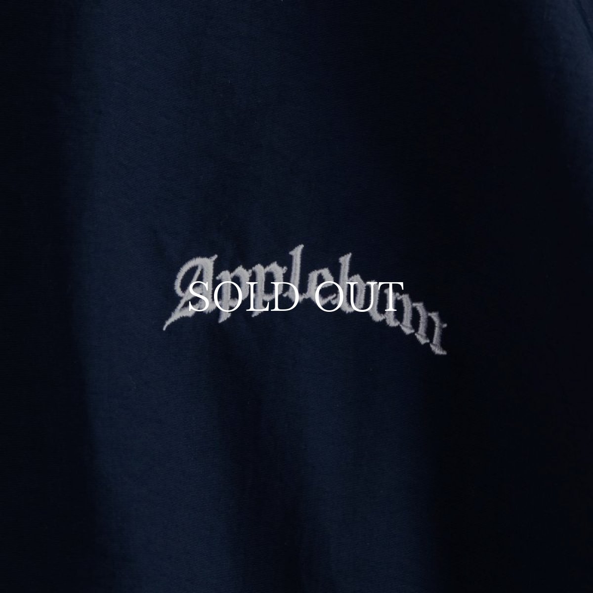 画像7: APPLEBUM  【再入荷】Nylon Training Jacket (7)