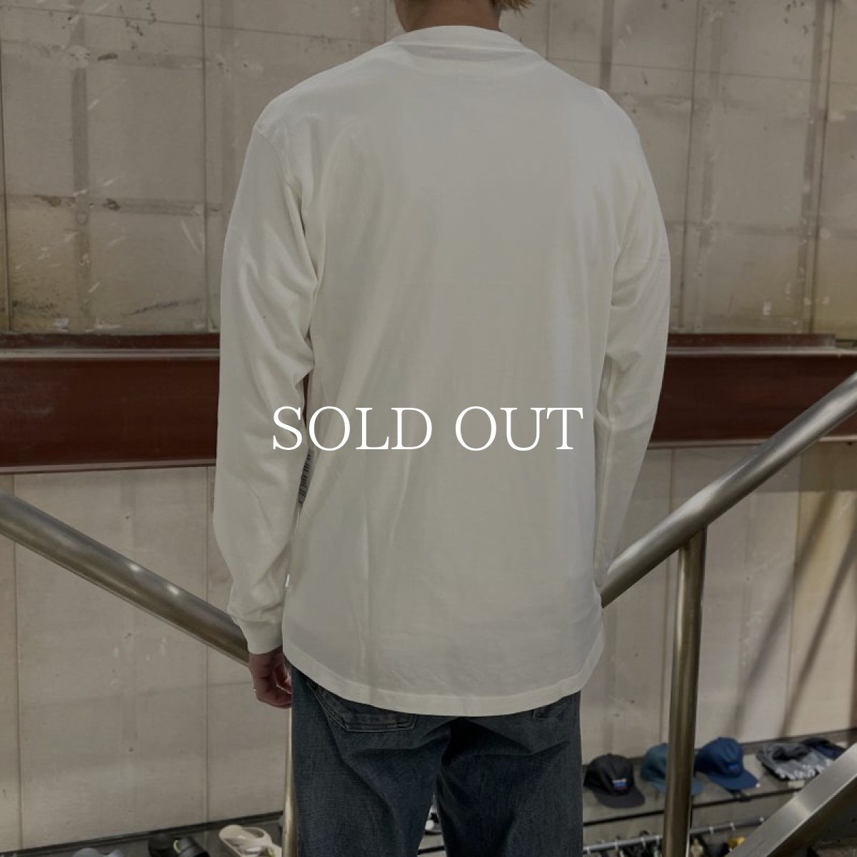 画像6: nonnative  DWELLER L/S TEE "LIGHT AS A FEATHER" (6)