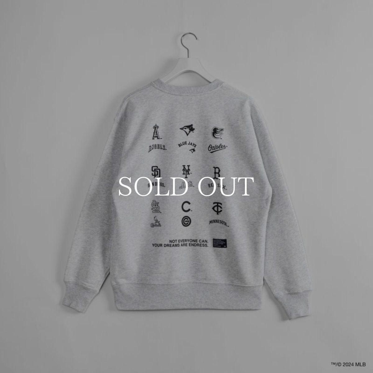 画像10: APPLEBUM  “9 Players” Crew Sweat (10)