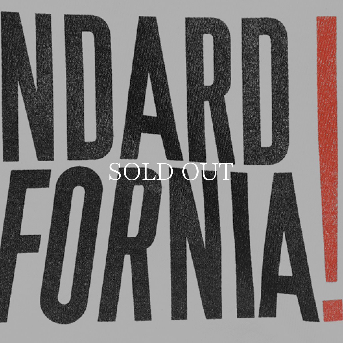 画像6: STANDARD CALIFORNIA  PIZZANISTA! × SD 21st Anniv. Logo T (6)