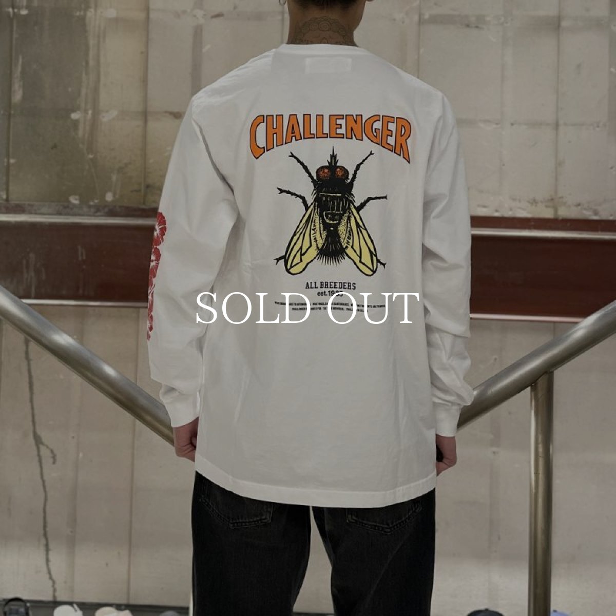 画像9: CHALLENGER  L/S HIBISCUS TEE (9)