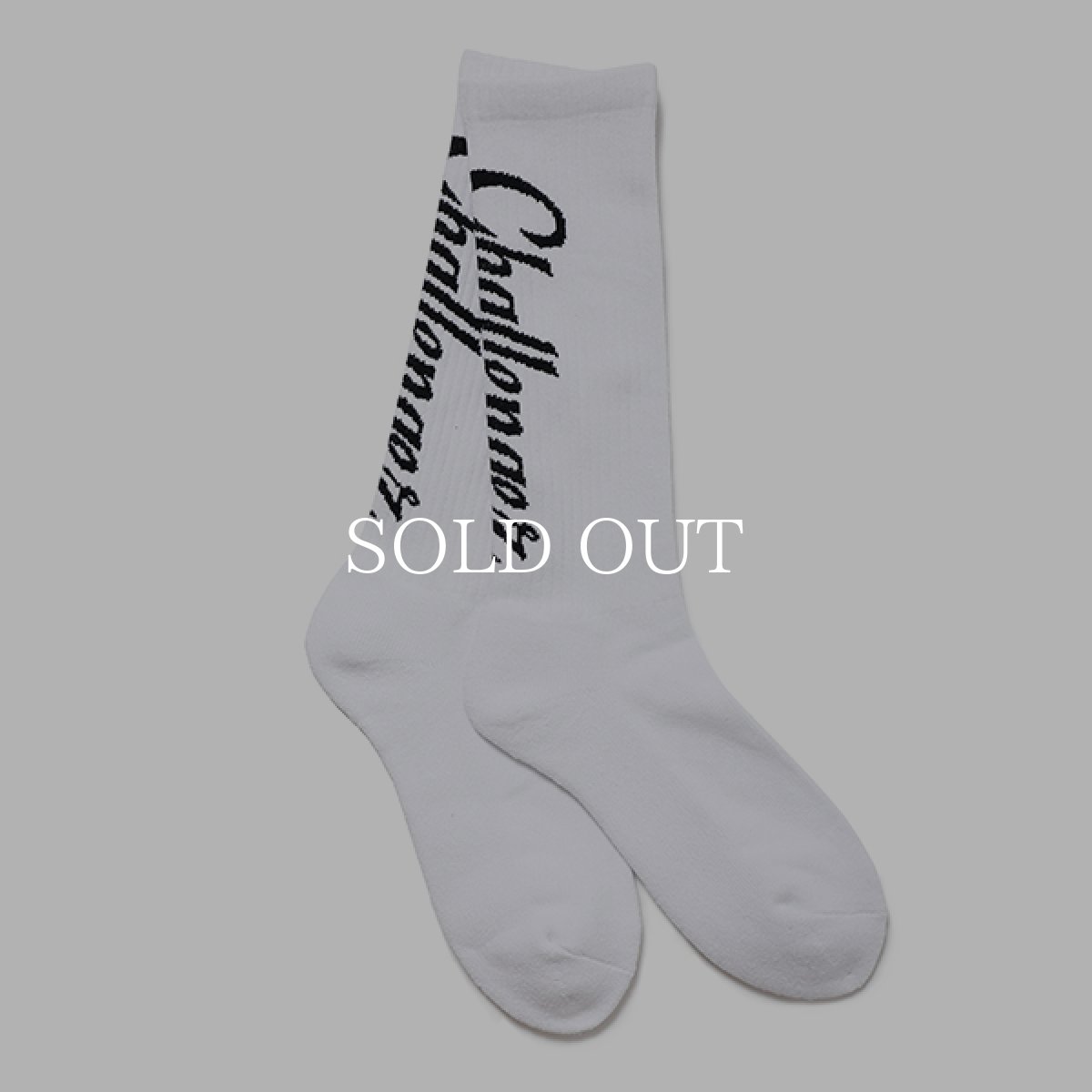 画像1: CHALLENGER  VERTICAL LOGO SOCKS (1)