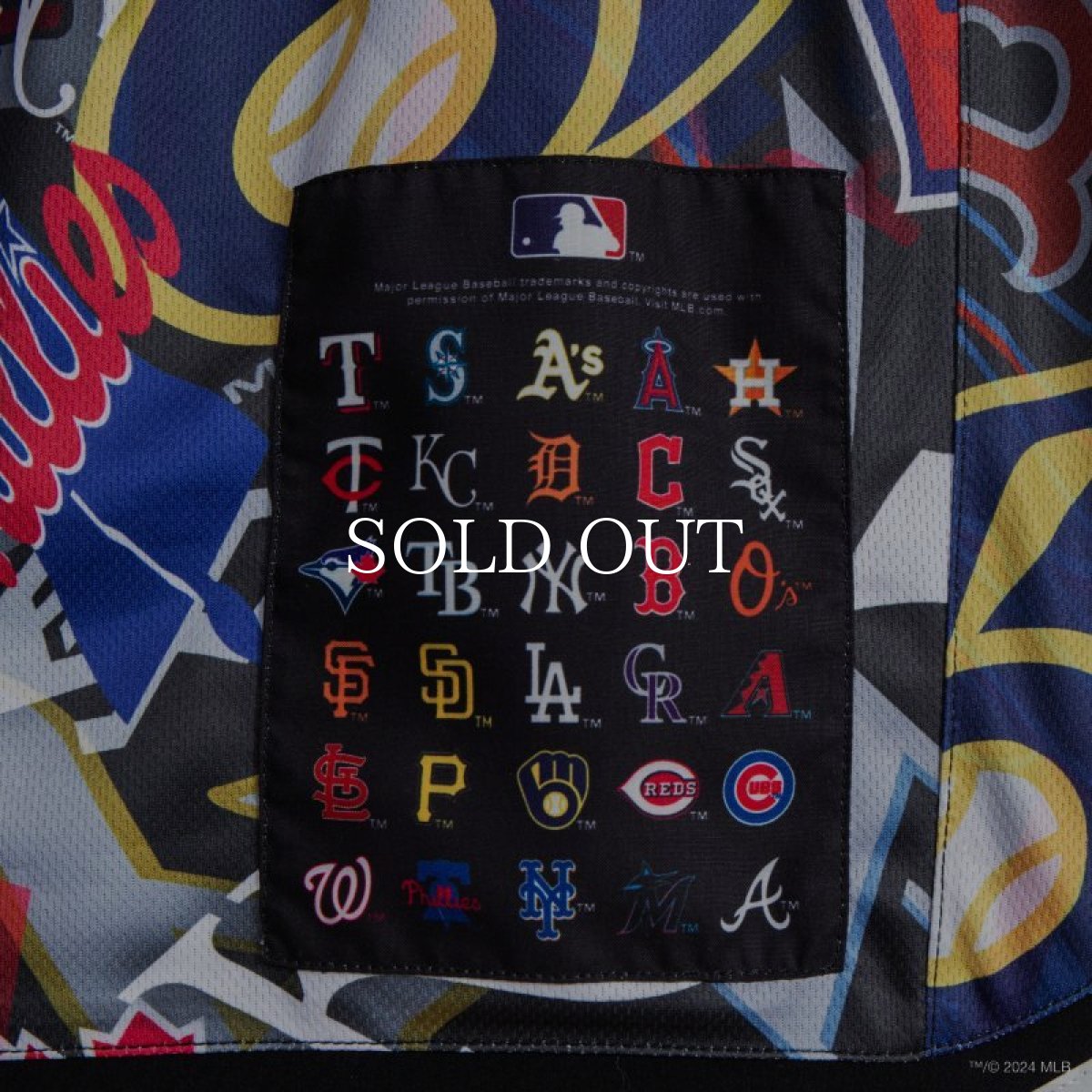 画像6: APPLEBUM “Team Logo Pattern” Short Pants (6)