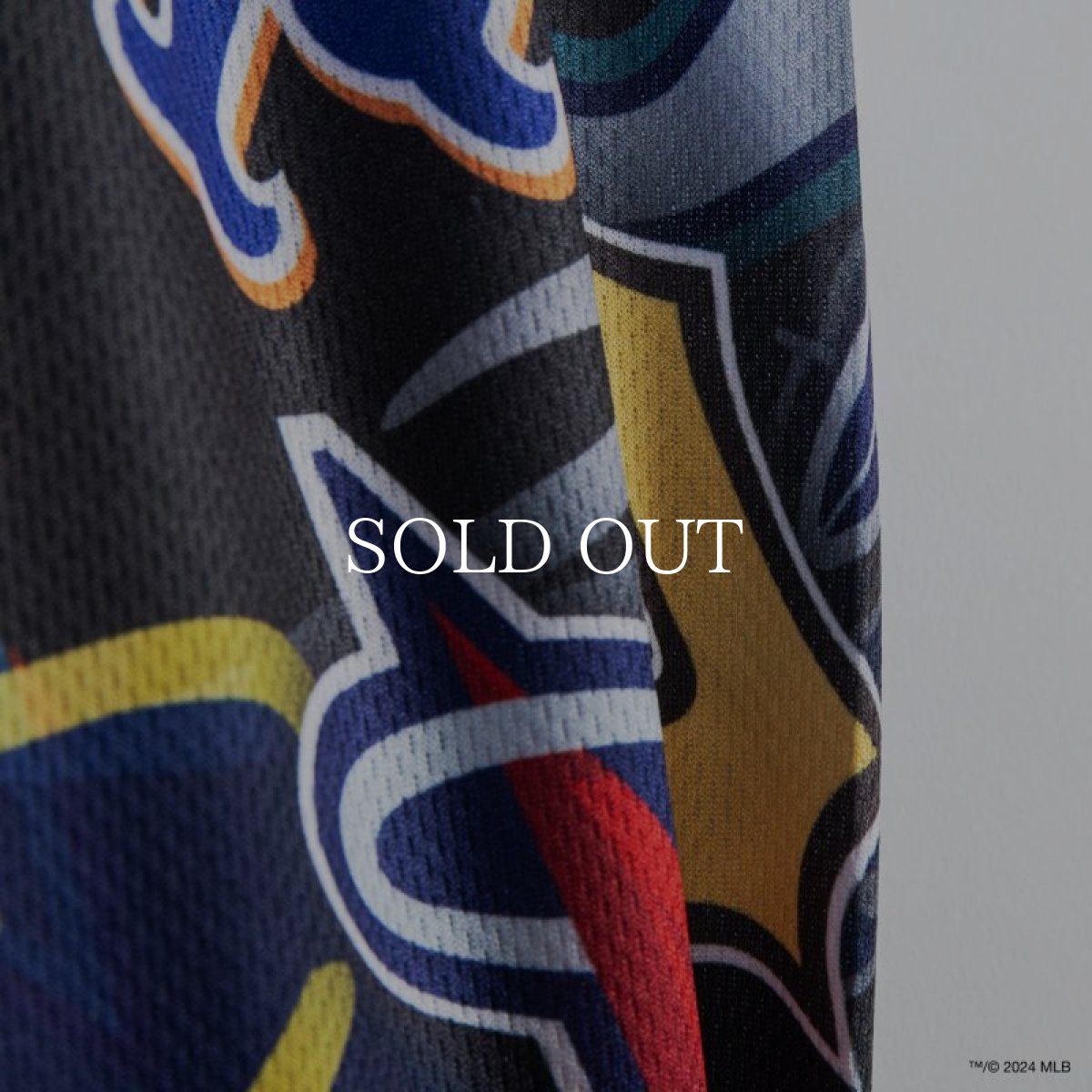 画像7: APPLEBUM “Team Logo Pattern” Short Pants (7)