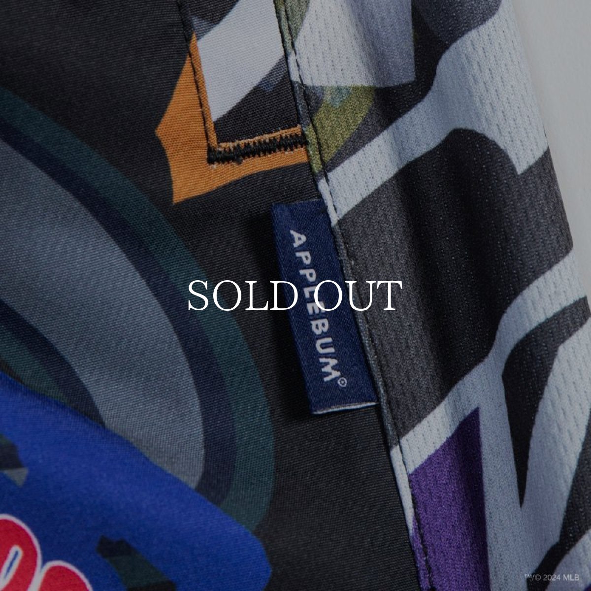 画像4: APPLEBUM “Team Logo Pattern” Short Pants (4)