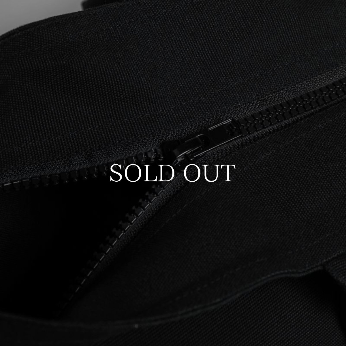 画像7: APPLEBUM  3D Logo Zip Totebag (7)