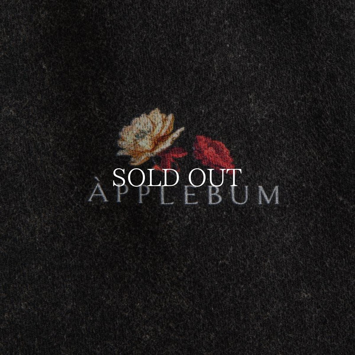 画像4: APPLEBUM  Powder Bleach Sweat Pants (4)