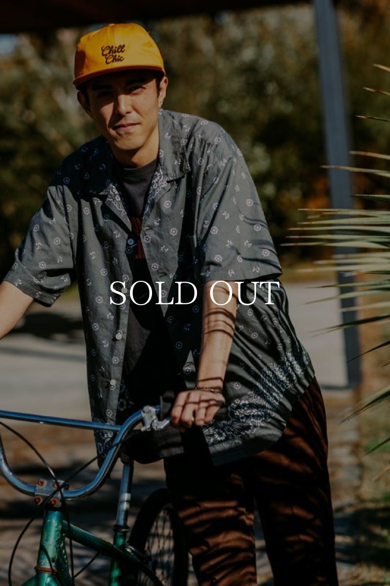 画像17: STANDARD CALIFORNIA  SD T/C Work Pants W (17)