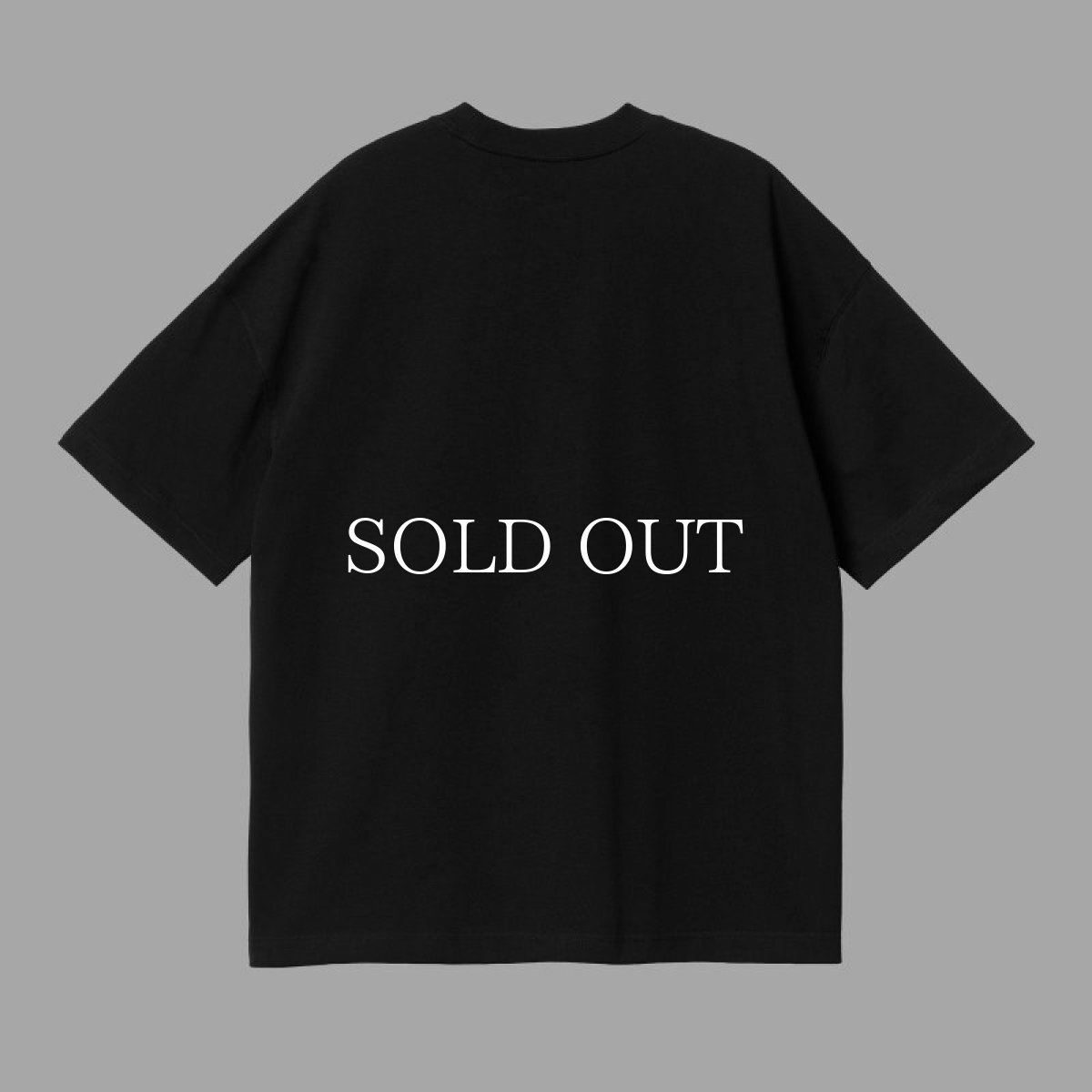 画像6: CARHARTT WIP  S/S Link Script T-Shirt (6)