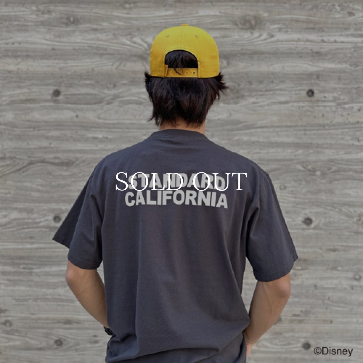 画像8: STANDARD CALIFORNIA  Disney × SD Chill T (8)