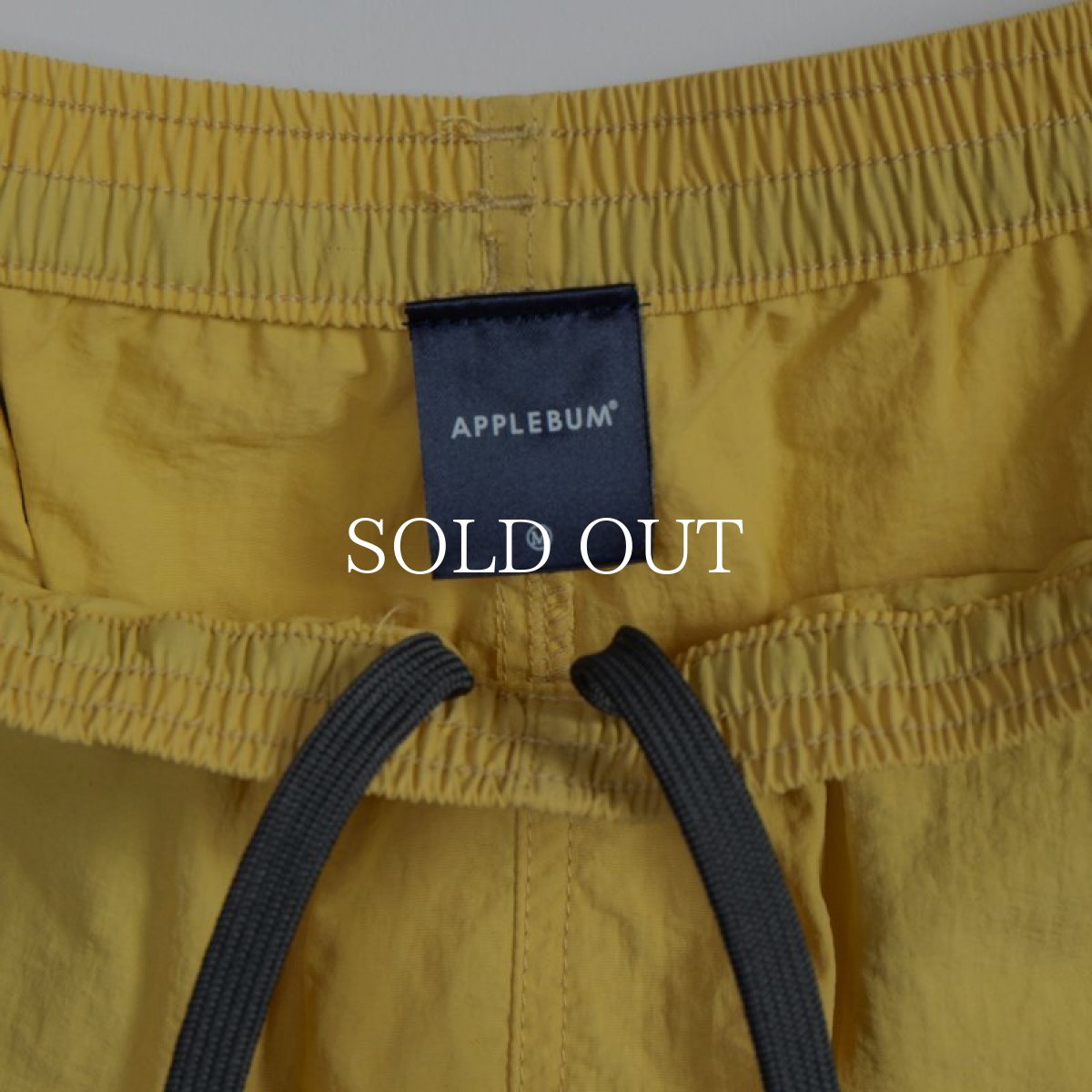 画像11: APPLEBUM  【再入荷】Active Nylon Shorts (11)