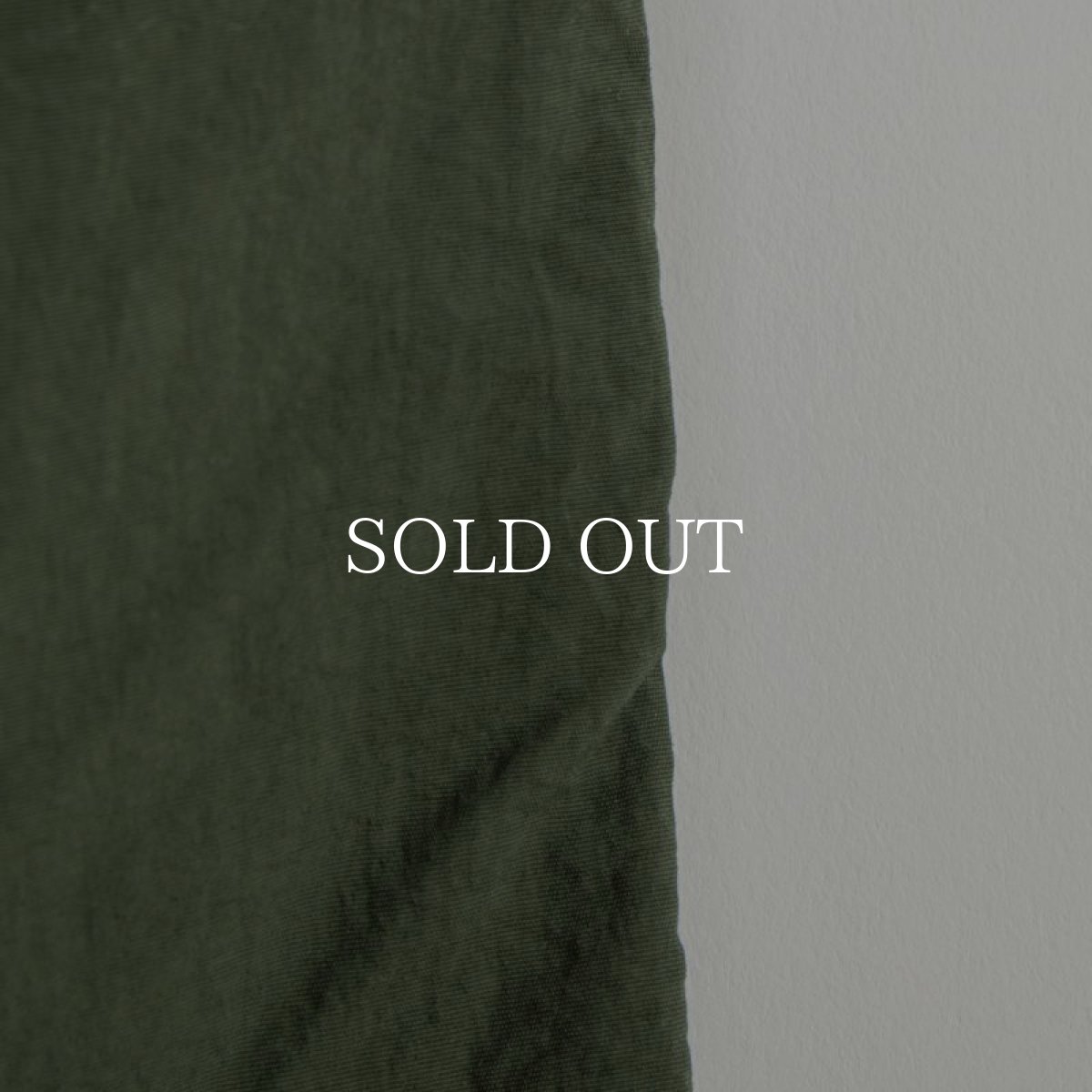 画像32: APPLEBUM  【再入荷】Active Nylon Shorts (32)