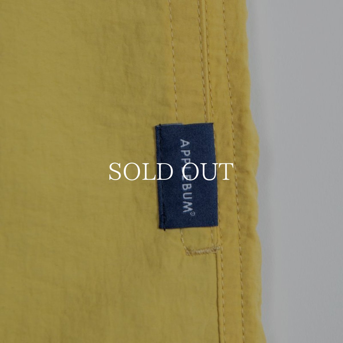 画像13: APPLEBUM  【再入荷】Active Nylon Shorts (13)