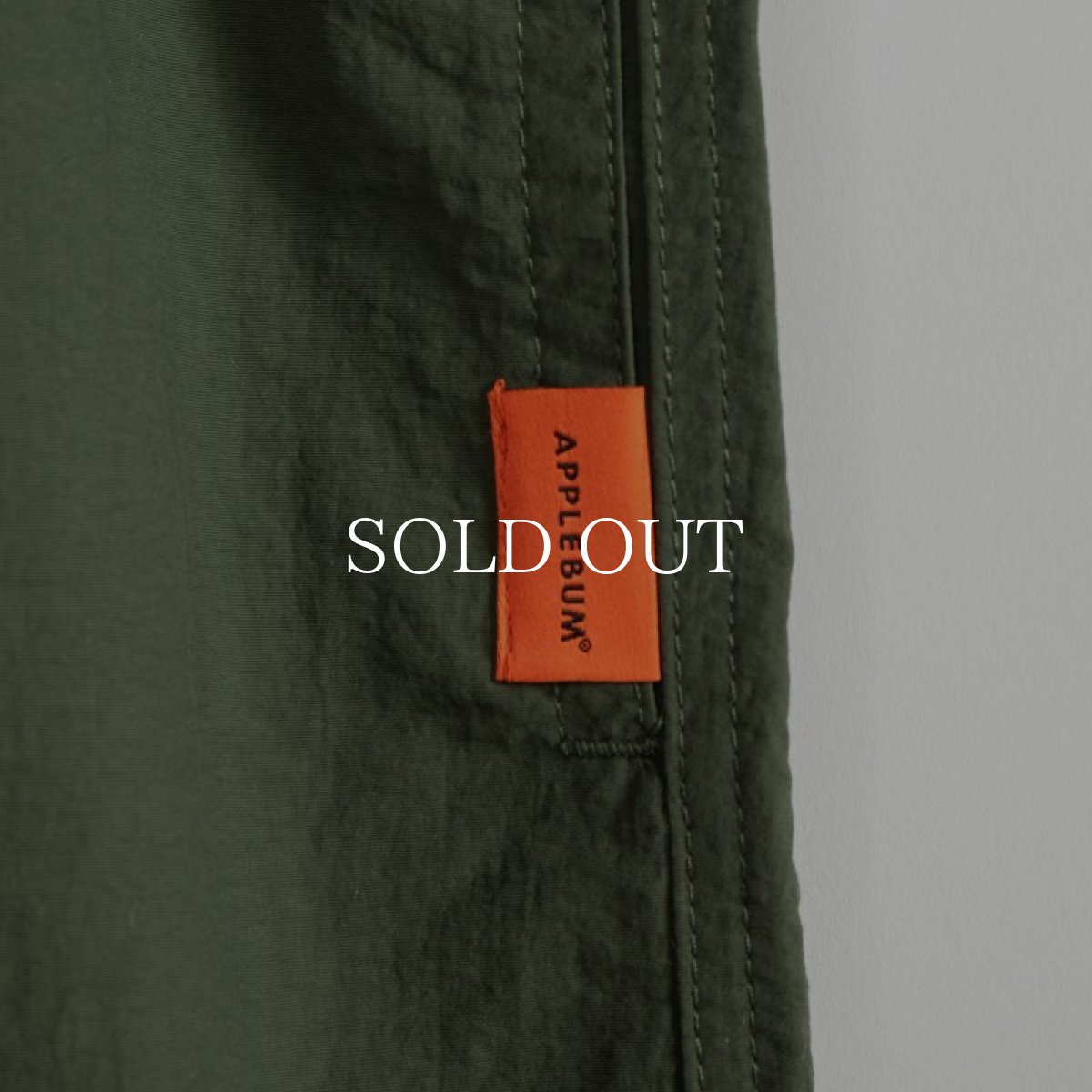 画像29: APPLEBUM  【再入荷】Active Nylon Shorts (29)