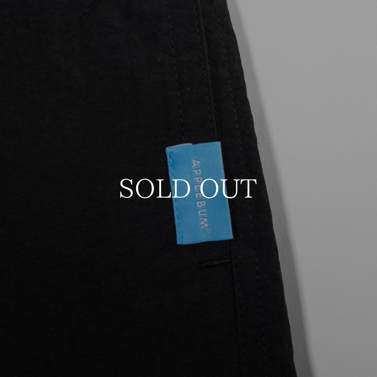 画像5: APPLEBUM  【再入荷】Active Nylon Shorts (5)