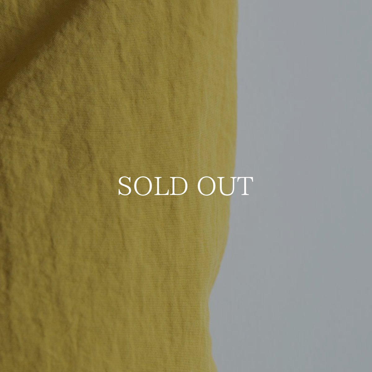 画像16: APPLEBUM  【再入荷】Active Nylon Shorts (16)