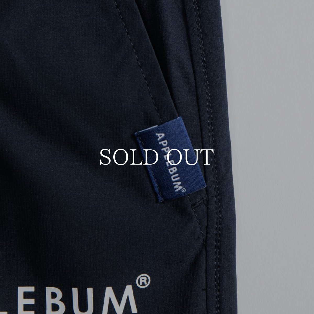 画像5: APPLEBUM  【再入荷】Multi-Function Shorts (5)