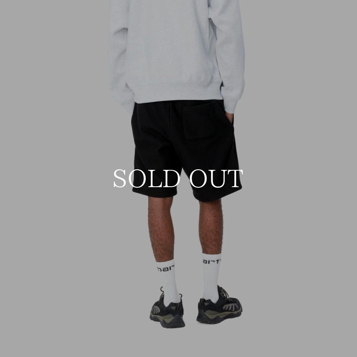 画像10: CARHARTT WIP  AMERICAN SCRIPT SWEAT SHORT (10)