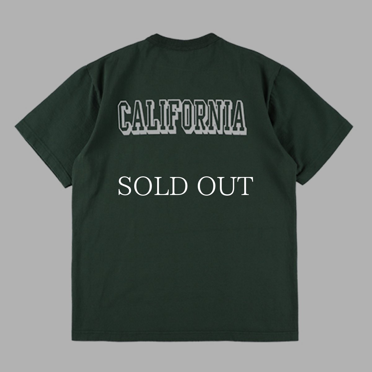 画像5: STANDARD CALIFORNIA  Champion for SD Exclusive T1011 (5)