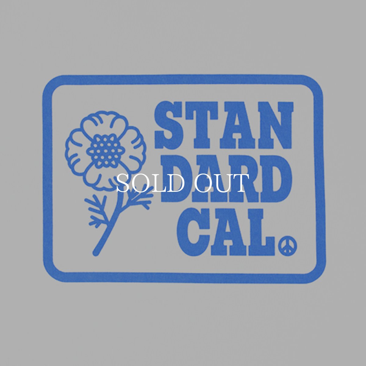 画像6: STANDARD CALIFORNIA  SD Heavyweight Poppy Logo T (6)