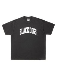 画像1: ROTTWEILER  PIGMENT B.D TEE (1)