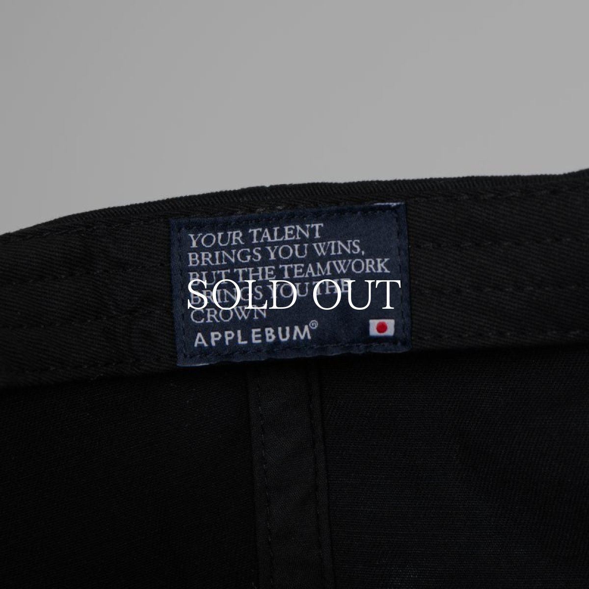 画像8: APPLEBUM  "Applebum" Cap (8)