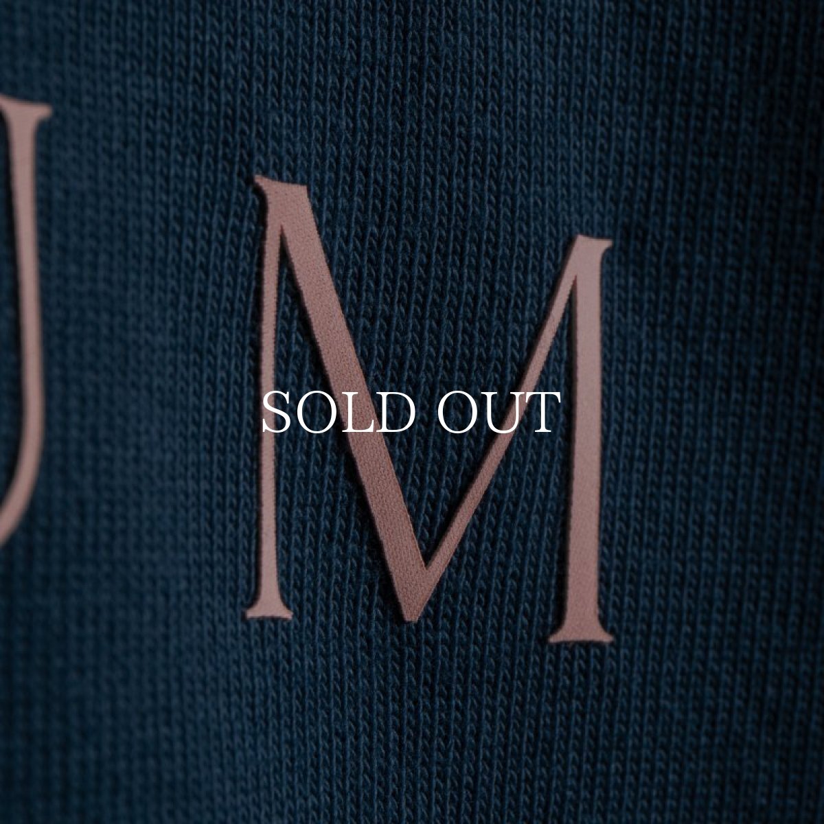 画像22: APPLEBUM  Logo T-shirt (22)