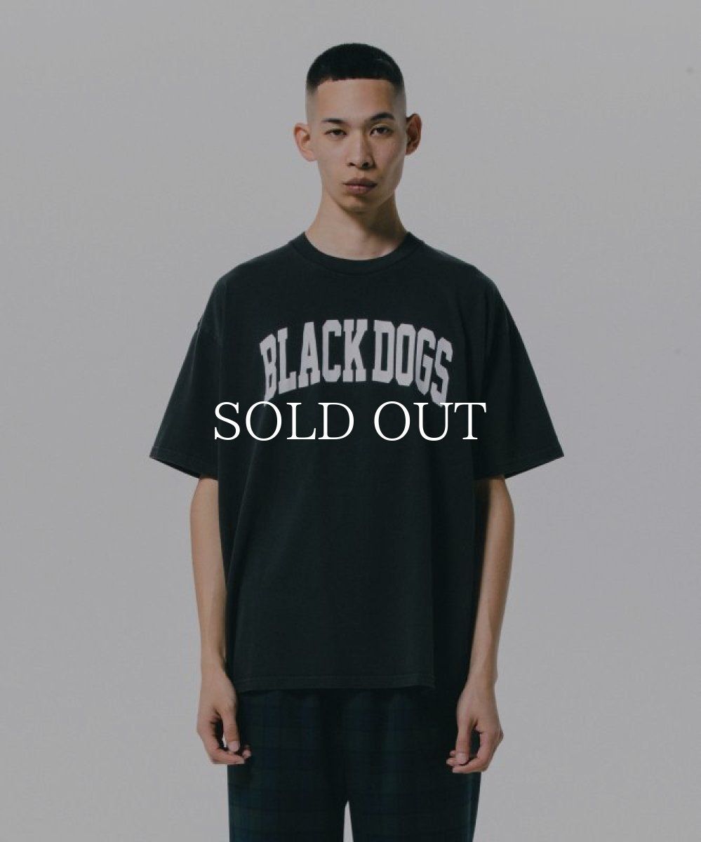 画像6: ROTTWEILER  PIGMENT B.D TEE (6)