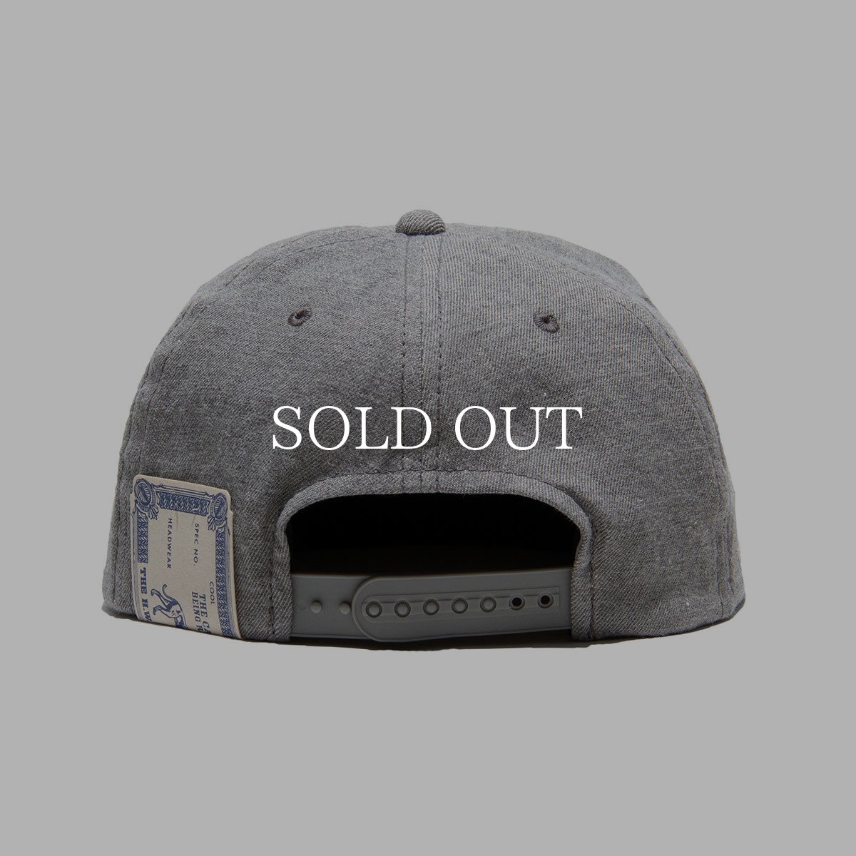 画像5: THE H.W.DOG&CO.  D SKATE CAP (5)