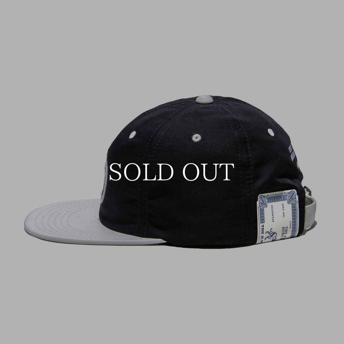 画像9: THE H.W.DOG&CO.  2TONE 90S CAP (9)