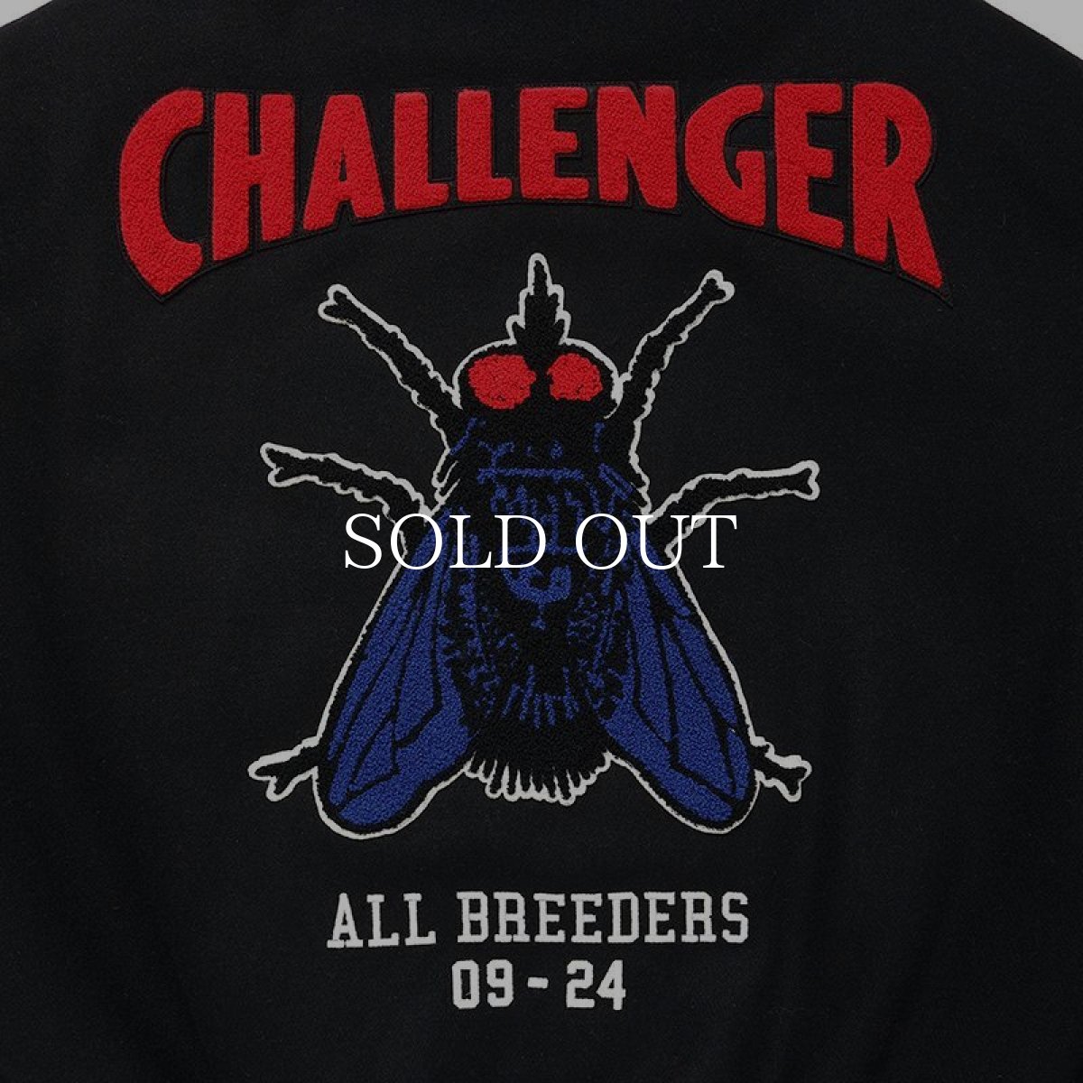 画像5: CHALLENGER  15th VARSITY JACKET (5)