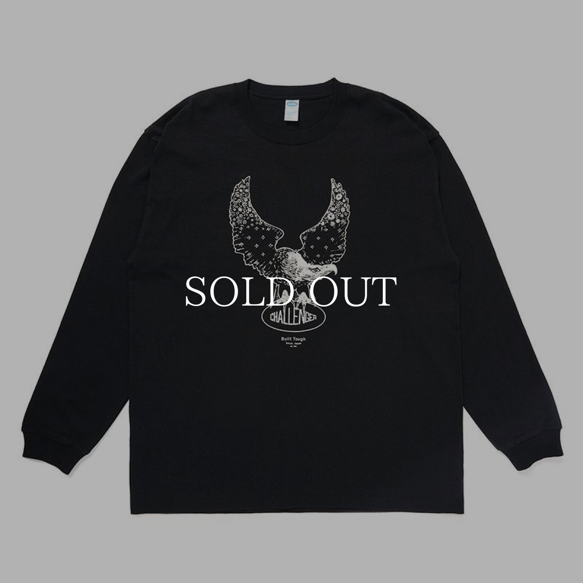 画像2: CHALLENGER  L/S OVAL EAGLE TEE (2)