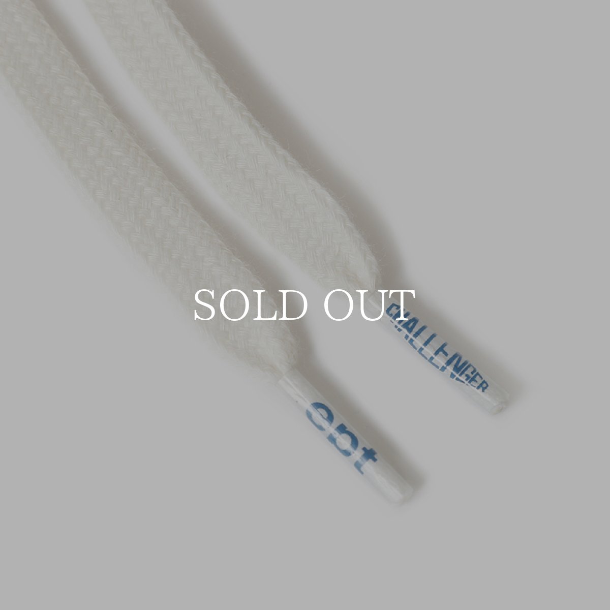 画像7: CHALLENGER  x EPT "NOISE" / BANDANA SNEAKERS (7)