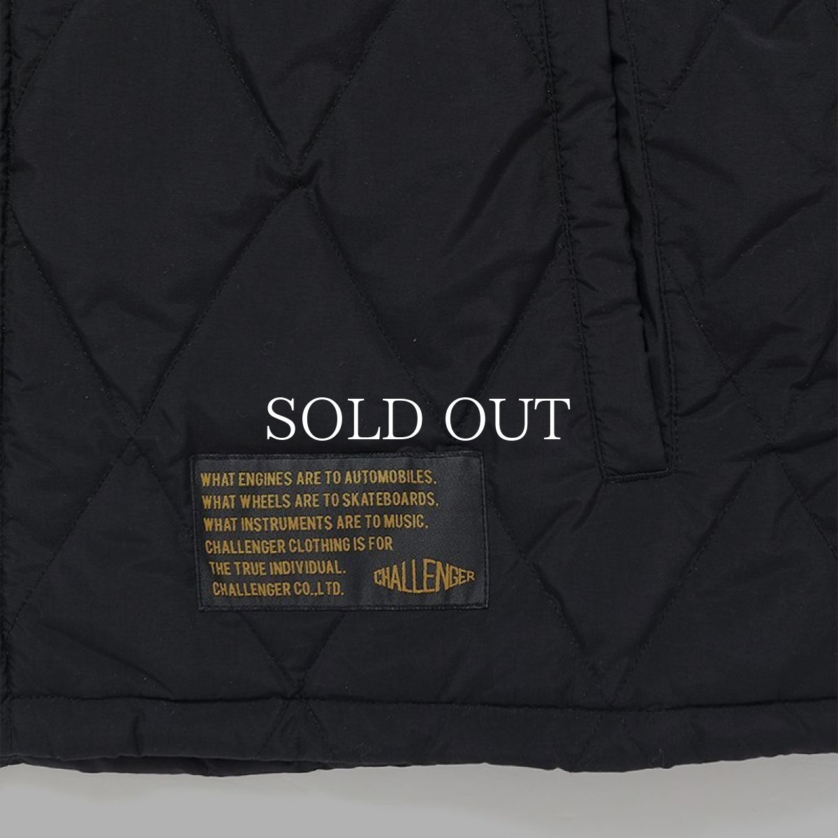 画像6: CHALLENGER  FIELD DOWN JACKET (6)