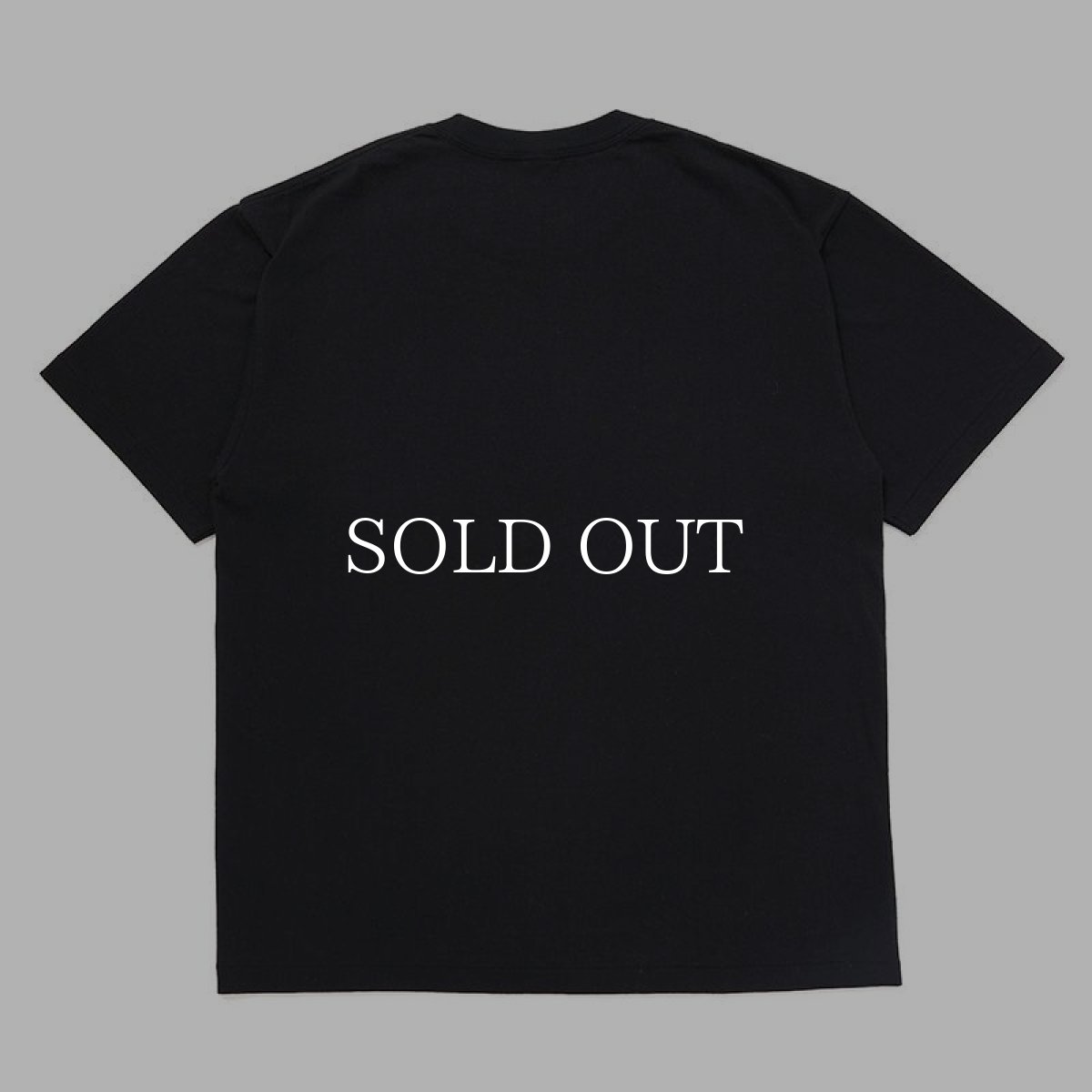 画像2: CHALLENGER  SCORPION TEE (2)