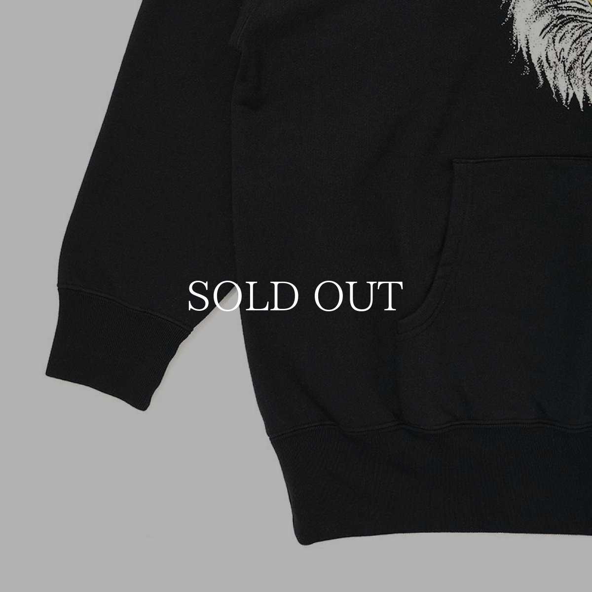 画像3: CHALLENGER  EAGLE HEAD HOODIE (3)