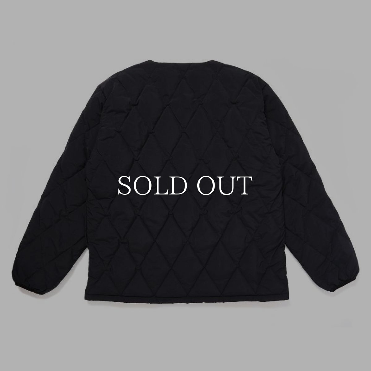 画像4: CHALLENGER  FIELD DOWN JACKET (4)