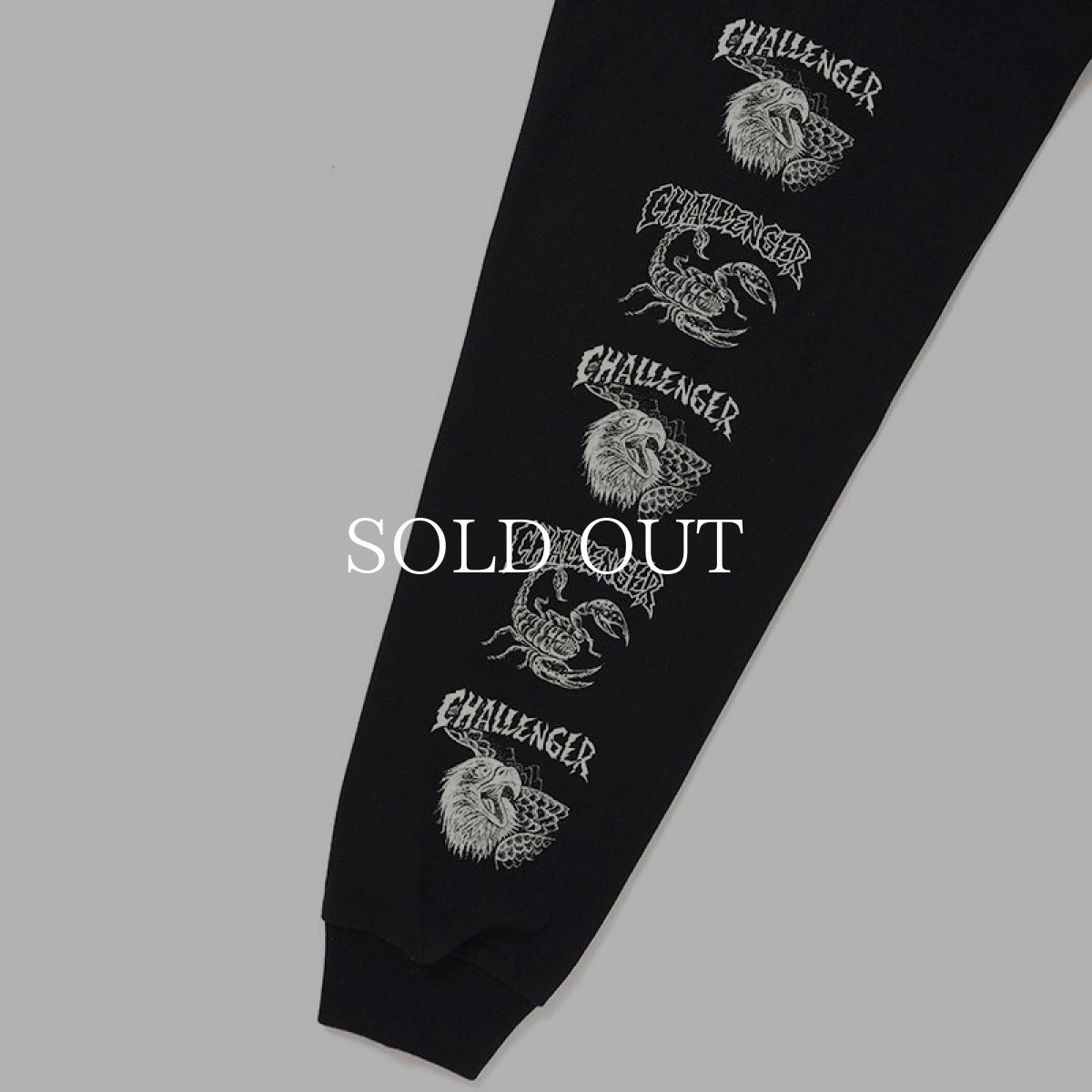 画像4: CHALLENGER  L/S EAGLE HEAD TEE (4)