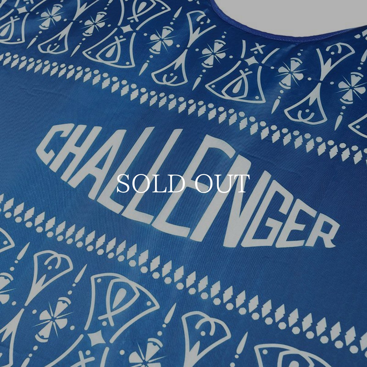 画像3: CHALLENGER  BANDANA SUNSHADE (3)