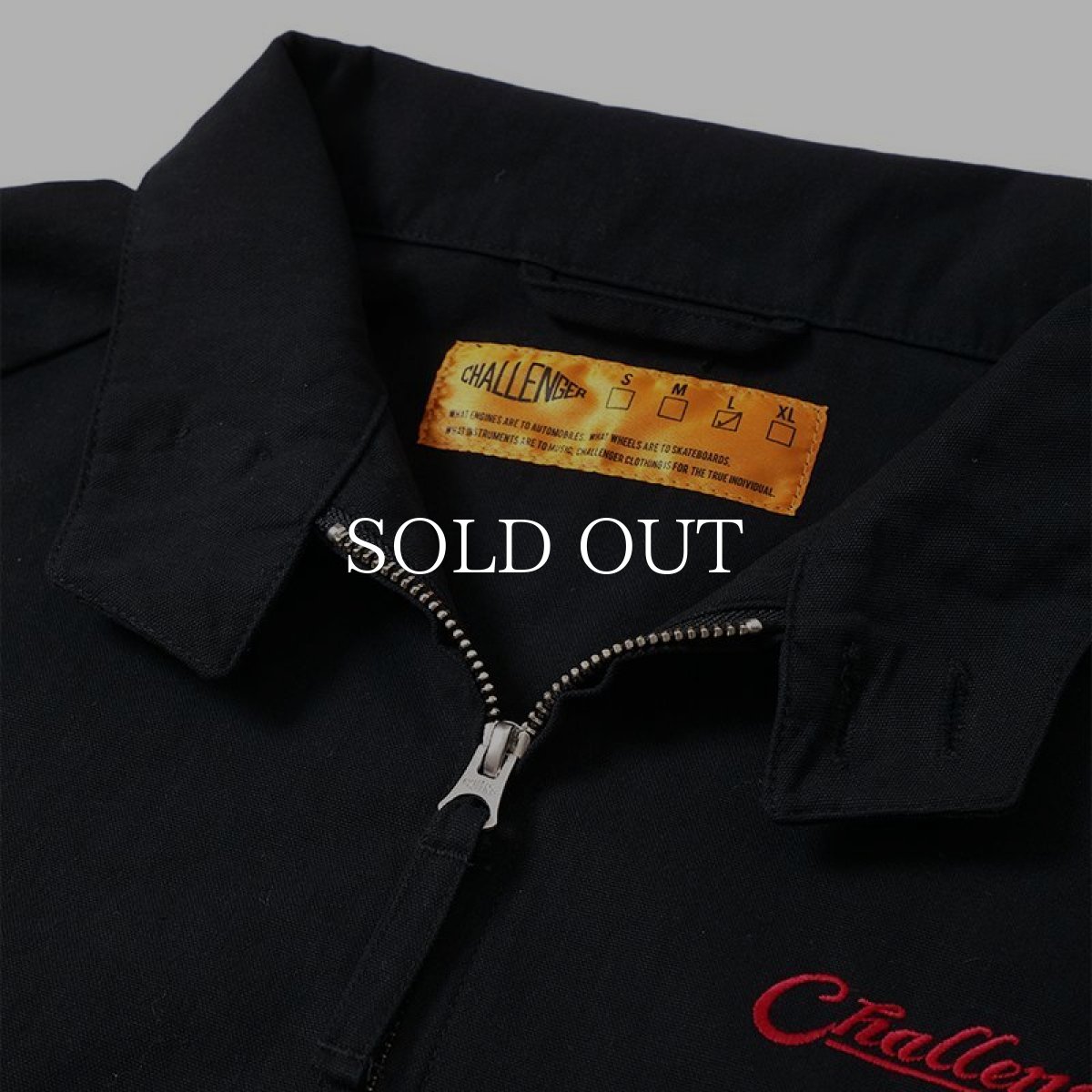 画像6: CHALLENGER  FIRE BIRD SWING TOP (6)