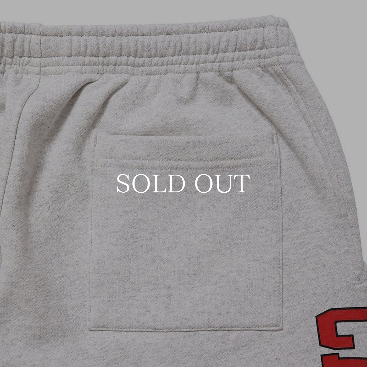 画像10: CHALLENGER  COLLEGE SWEAT PANTS   (10)