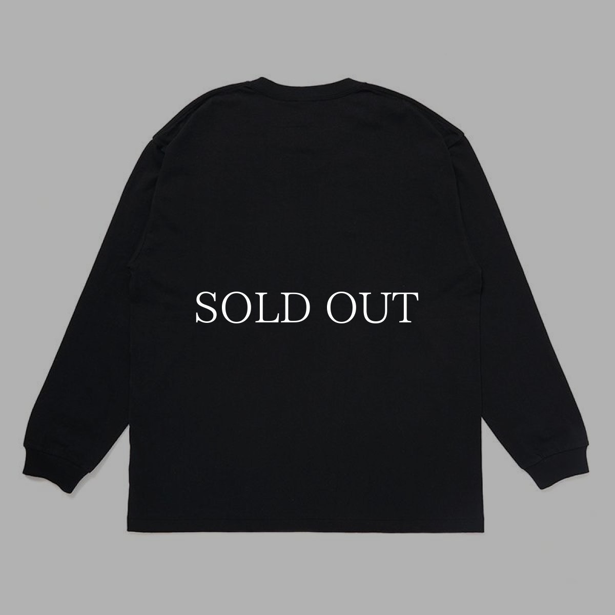 画像3: CHALLENGER  L/S OVAL EAGLE TEE (3)