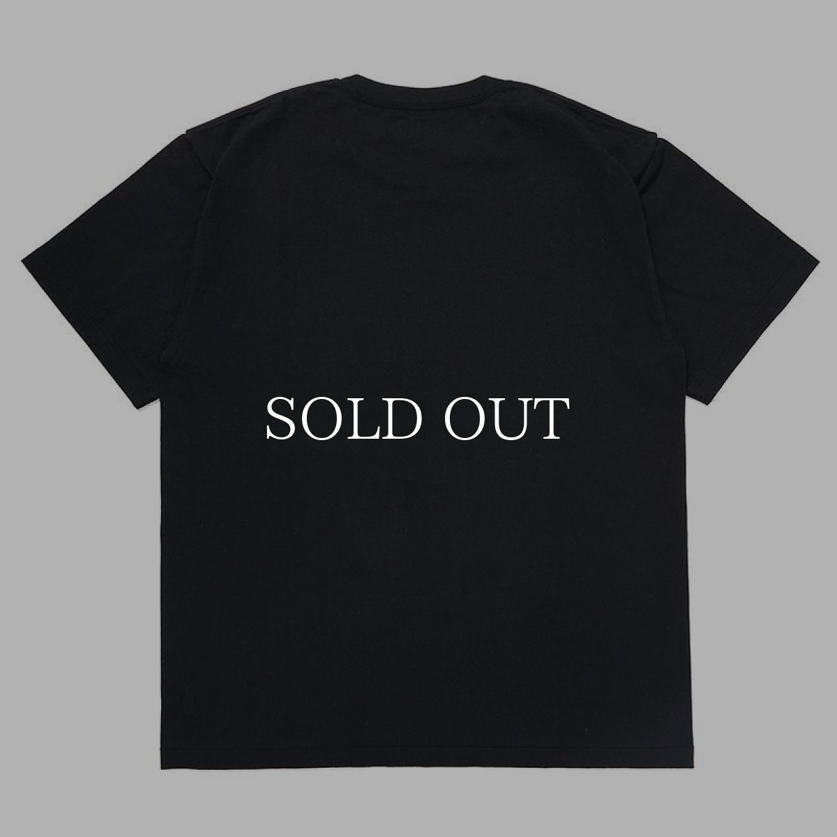 画像2: CHALLENGER  OVAL EAGLE TEE (2)