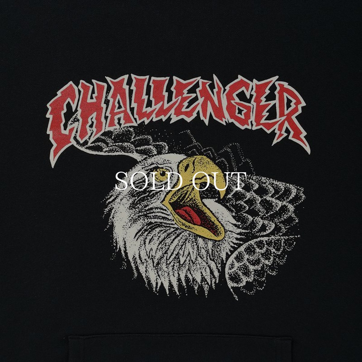 画像4: CHALLENGER  EAGLE HEAD HOODIE (4)
