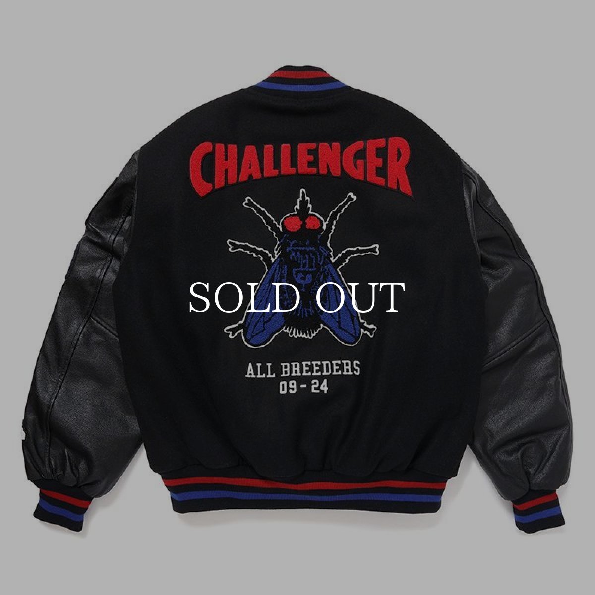 画像2: CHALLENGER  15th VARSITY JACKET (2)