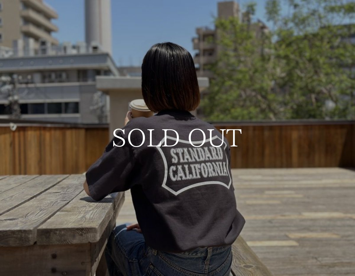 画像11: STANDARD CALIFORNIA  SD Heavyweight Basic Logo T (11)