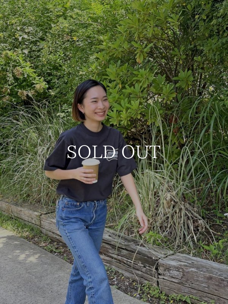 画像12: STANDARD CALIFORNIA  SD Heavyweight Basic Logo T (12)