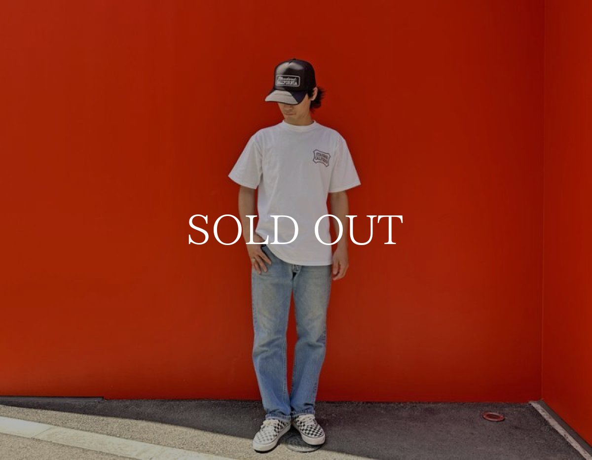 画像13: STANDARD CALIFORNIA  SD Heavyweight Basic Logo T (13)